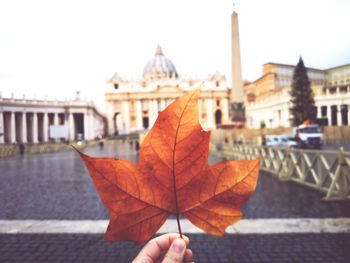 Person holding maple leaf on city during autumn