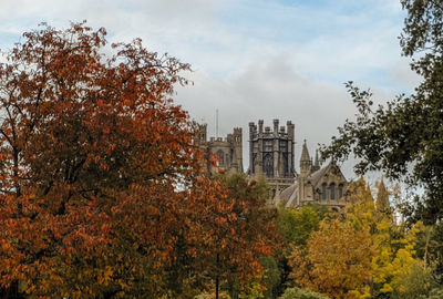 Trees and plants in city during autumn