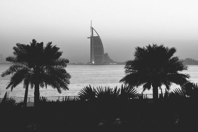 Silhouette of palm trees by sea