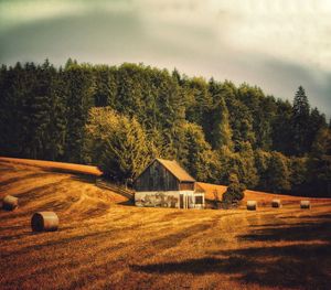 Hay bales on field against sky