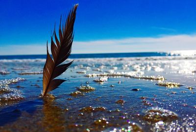 Scenic view of sea against blue sky