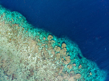 High angle view of blue sea and rocks