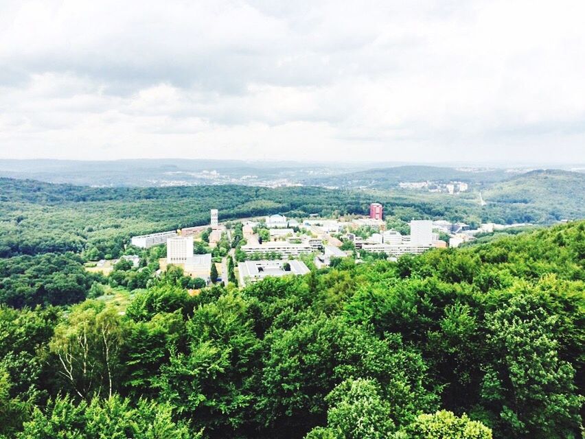 Saarland university