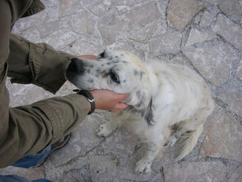 Midsection of woman with dog