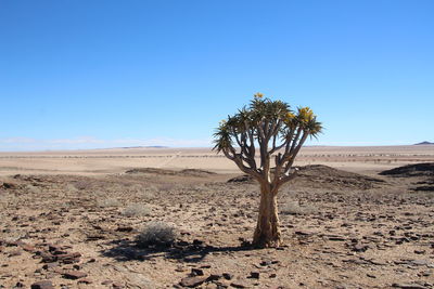 Scenic view of desert against clear sky