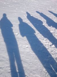 Shadow of people on snow covered land