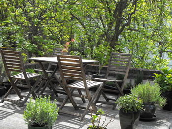 View of empty bench