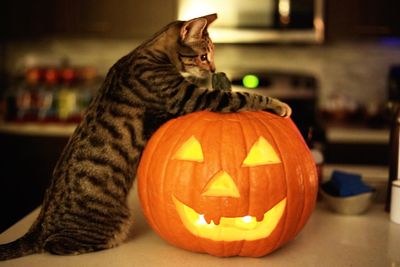 Close-up of pumpkin at home