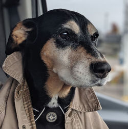 It's been a long drive