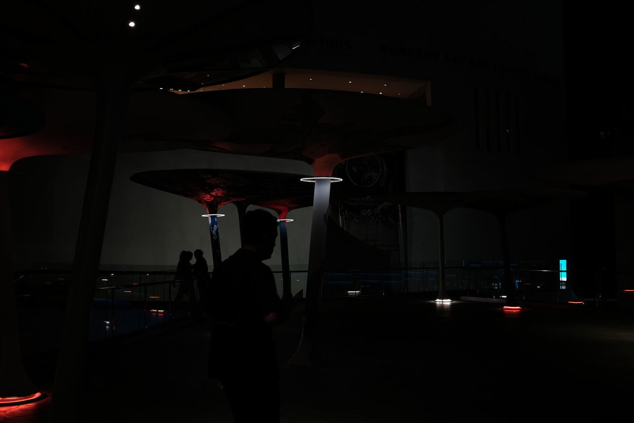 SILHOUETTE MAN STANDING IN ILLUMINATED BUILDING