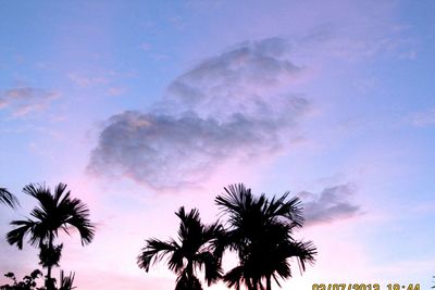 Low angle view of silhouette palm trees against sky