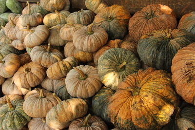 Full frame shot of pumpkins for sale at market stall
