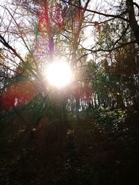 Low angle view of trees against sky