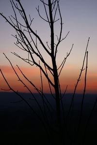 Silhouette bare tree against romantic sky at sunset