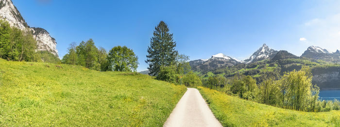 Road amidst green landscape against clear blue sky