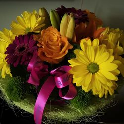 Close-up of multi colored flowers