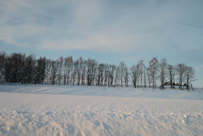 Trees on snow covered field against sky