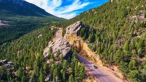 Panoramic shot of road amidst trees against sky