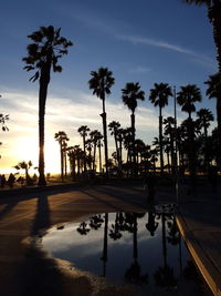 Reflection of palm trees in swimming pool against sky