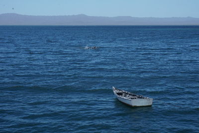 Boat sailing in sea