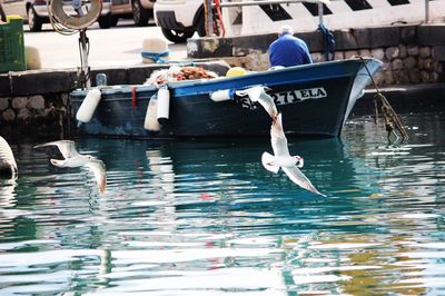 Seagulls on a boat