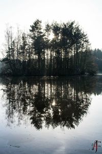 Reflection of trees in lake against sky