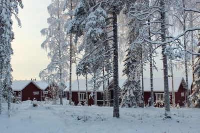 Snow covered trees and houses against sky during winter