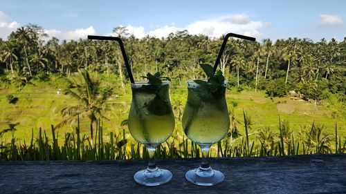 Close-up of wine glasses on plant against sky