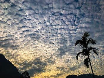 Low angle view of silhouette palm trees against sky