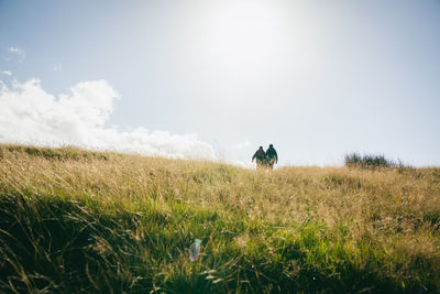 Man on field against sky