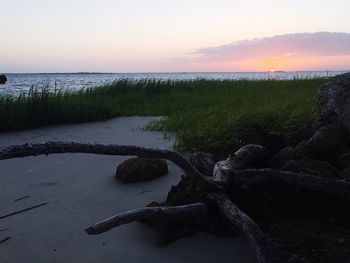 Scenic view of sea during sunset