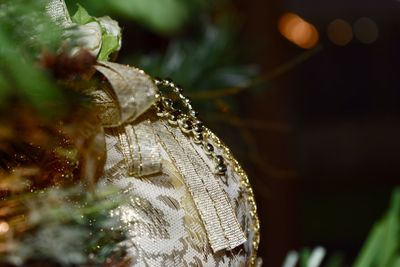 Golden ornament hanging on christmas tree at night