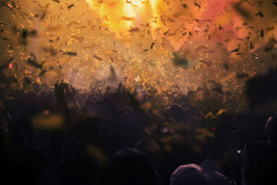 Group of people at music concert