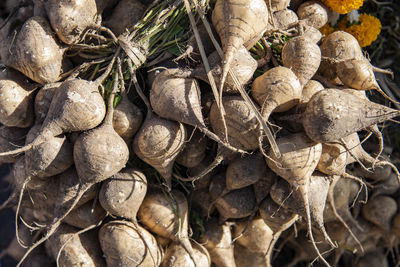 Full frame shot of seashells