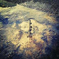 Reflection of trees in puddle
