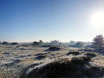 Scenic view of landscape against clear sky