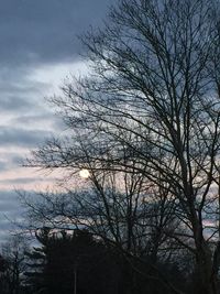 Low angle view of bare trees against cloudy sky