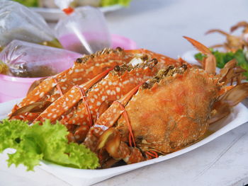 High angle view of meal served in plate