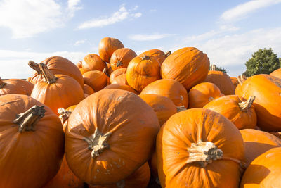 Close-up of pumpkins against sky on sunny day