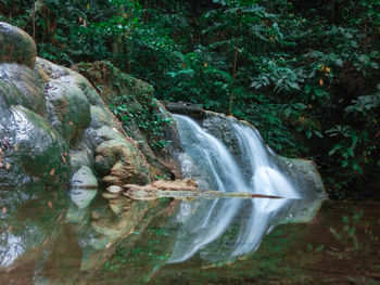 Scenic view of waterfall in forest