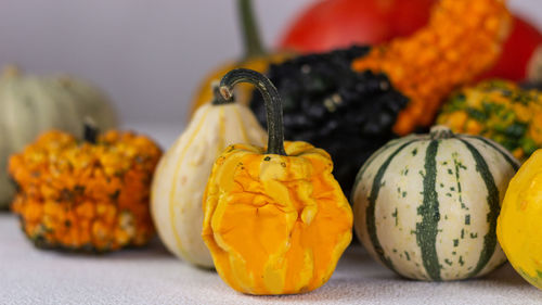 Close-up of pumpkins on pumpkin