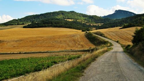 Road passing through field