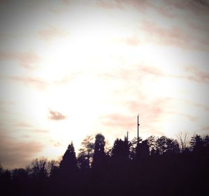 Silhouette of trees at sunset