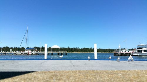 Sailboats moored at harbor against clear blue sky