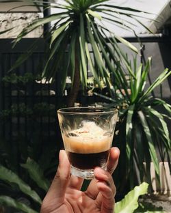 Close-up of hand holding drink