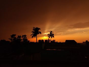 Silhouette palm trees against sky during sunset