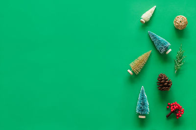 High angle view of vegetables on table against green background