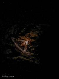 Close-up of fish swimming in sea