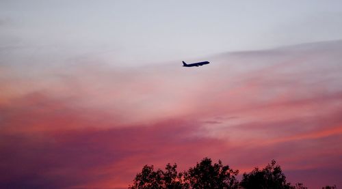 Low angle view of silhouette airplane flying in sky