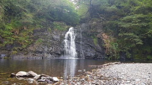 Scenic view of waterfall in forest